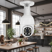 Куполна Wi-Fi камера под формата на крушка с широкообхватен ъгъл на видимост IP3B FS-9633 FS-9633