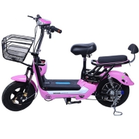 Електрически мотор марка Pubec 2018 MOTOR-3 FS-2575 FS-2575