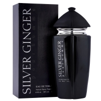 Парфюм Silver Ginger by BN, Unisex, Eau de toilette 100ml FS-19577 FS-19577