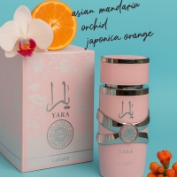 Ориенталски подарък, парфюм за него и нея на Lattafa. Yara + Asad 100ml FS-17204 FS-17204