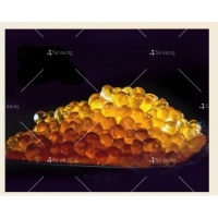 Околоочен крем Sakura Caviar YING-Z-SE essence Beauty HZS559 HZS559 HZS559