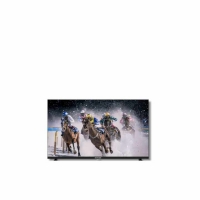 Телевизор Rancore LED 32